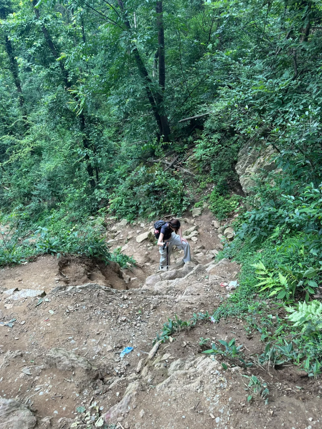 长沙5条亲子徒步“小秘境”路线，带娃坚持每周一山→