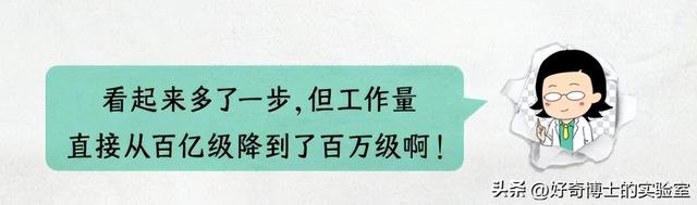 为什么淘宝订单号的后6位，是永远不变的？