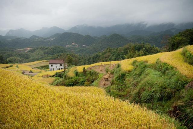 邂逅泳溪梯田，翻开秋日的浪漫诗篇