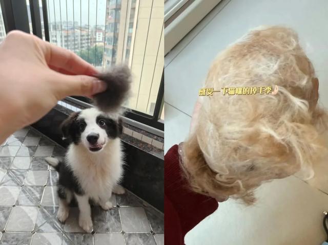 年轻人的“任性”，父母开始懂了