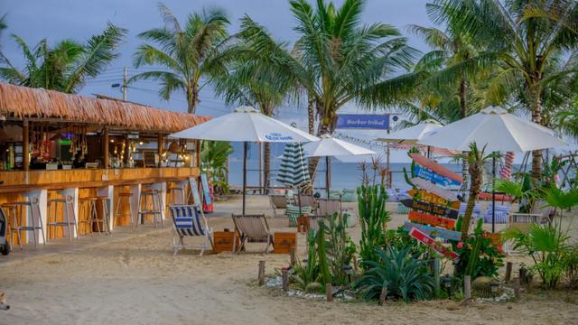 三场大赛嗨到年底！跟着冲浪赛游万宁，在暖冬里重温夏日