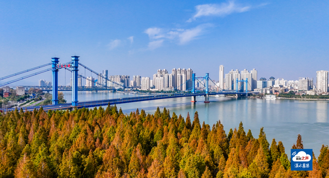 哎呀！谁打翻了襄阳“调色板”！