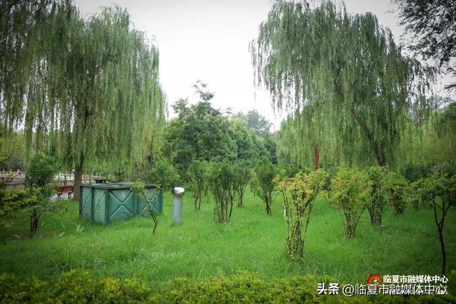 秋雨落，诗意起…邂逅临夏秋雨的美