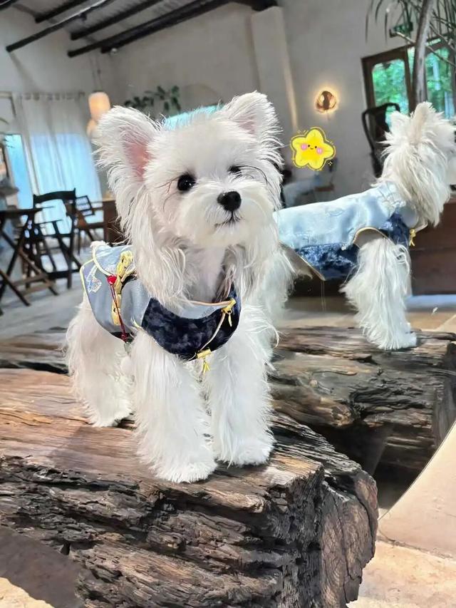 找到「下一个赚钱风口」的人