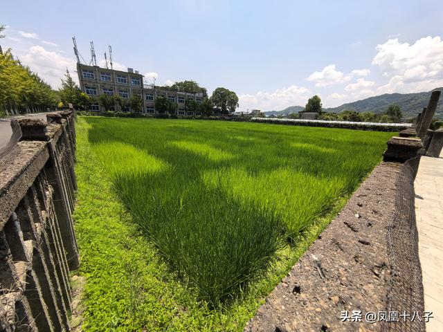 一粒种子改变世界（走进怀化安江农校探寻袁隆平院士足迹）