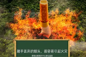 警惕！又是高发季，“上春山”要注意这些事……图片