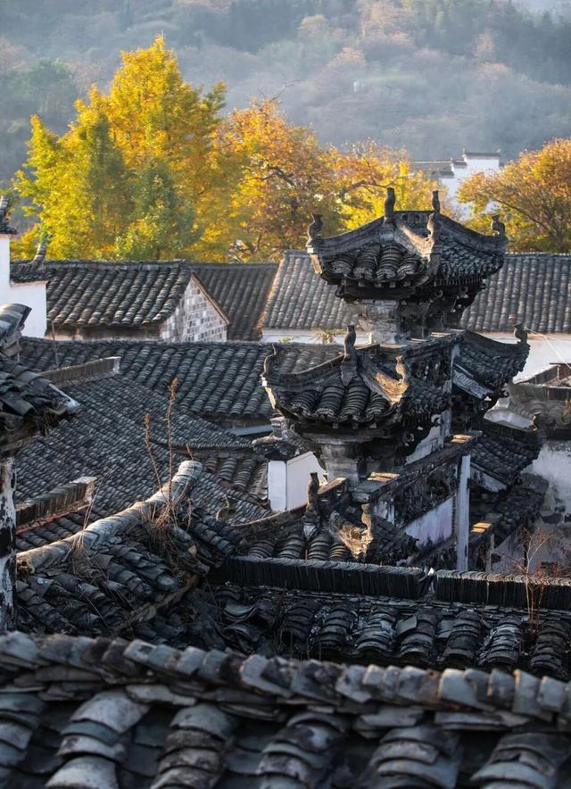 地理冷知识—长三角的秋天