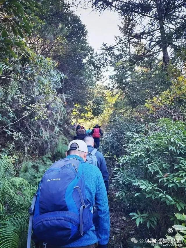 醉美林坑晒秋!这条连接两个避世古村落的省一级古道,周末可走起