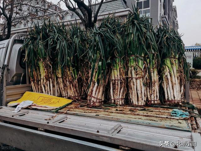 保存大葱时，别直接放地上	，教你三个土方法，保存三个月都还新鲜