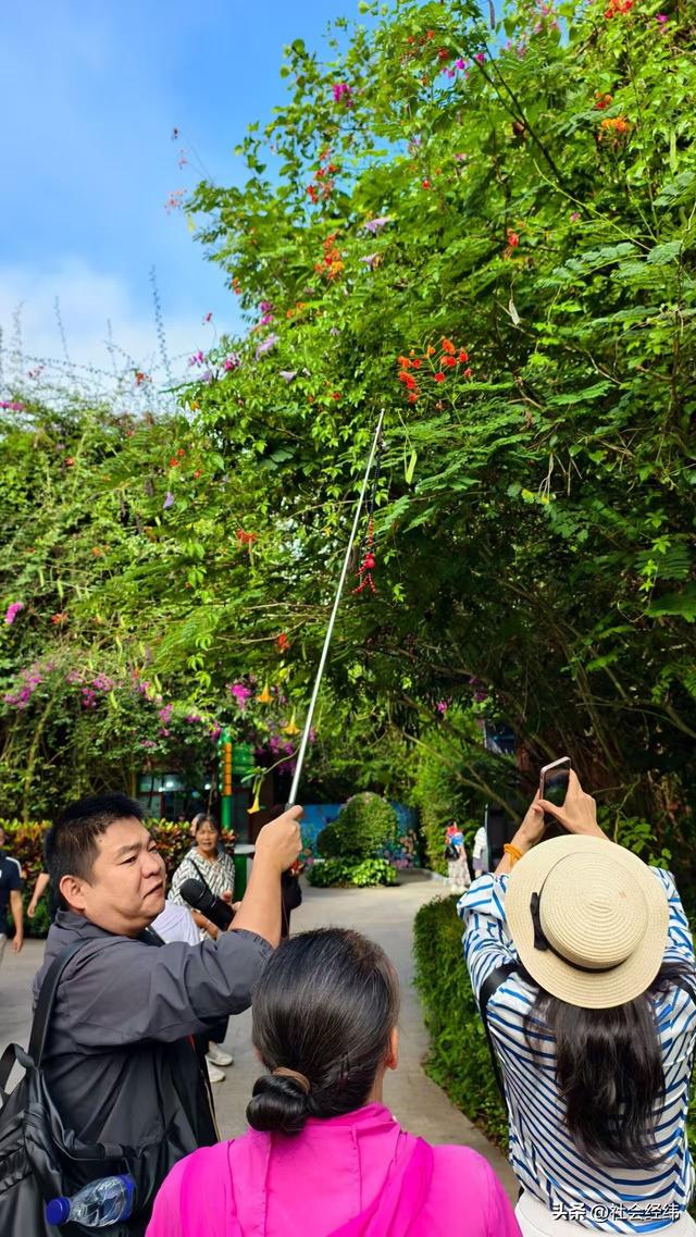 每日一景|西双版纳野象谷风景区