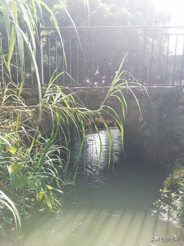 广西南宁市隆安县追随狄青征战的将士后裔，隐居在不起眼的山村