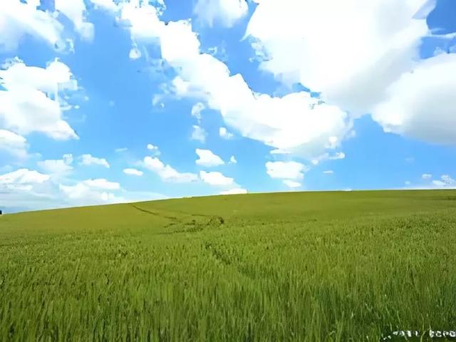2025年起,农村要变天了!有人乐开花,有人要睡不着!