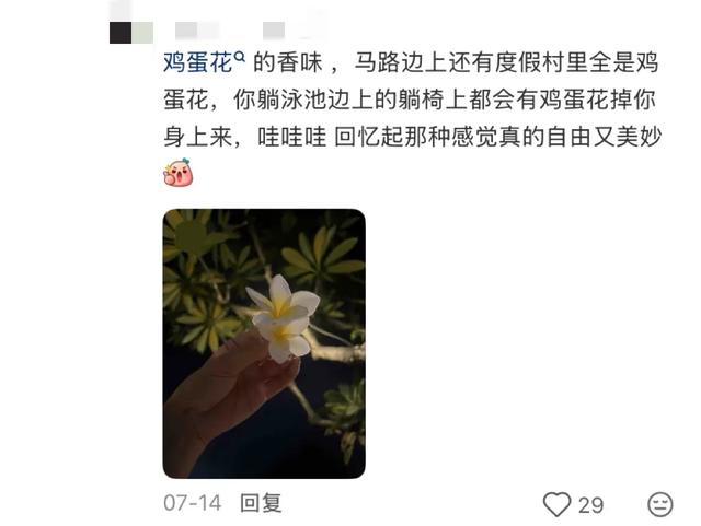 阻止我去巴厘岛旅游的唯一理由：