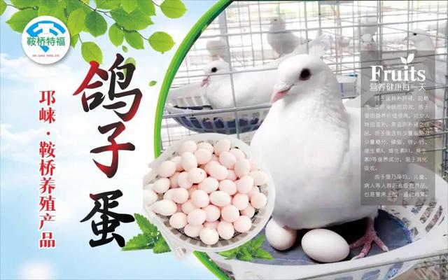 村糖会｜山林徒步·摘柚夺金～文君山野生态美食文化季即将欢乐启幕