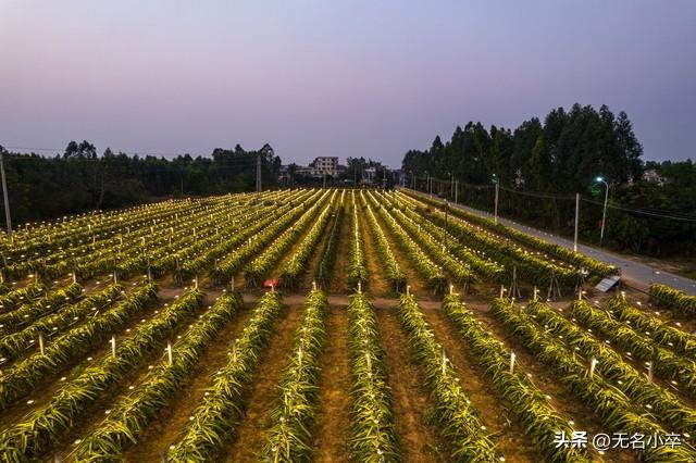 广西自驾游真的是让我大开眼界，收获颇丰，惊喜不断，有点意外哦