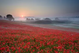 原来生娃真有“吉时”，这3个时间出生有“福气”，有你家娃没？图片