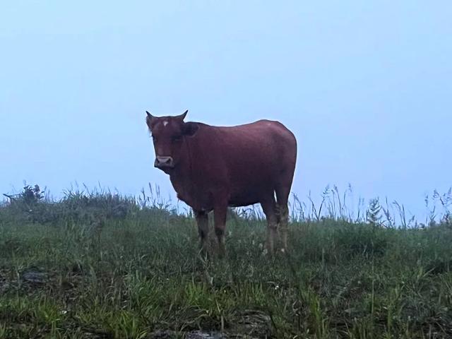 桂林：龙胜小南山高山风光风情摄影观光之旅！