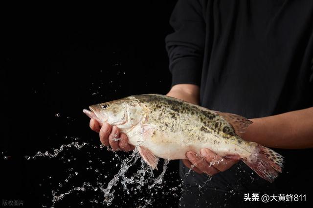 认识大美广东的每个县——第七波：东源