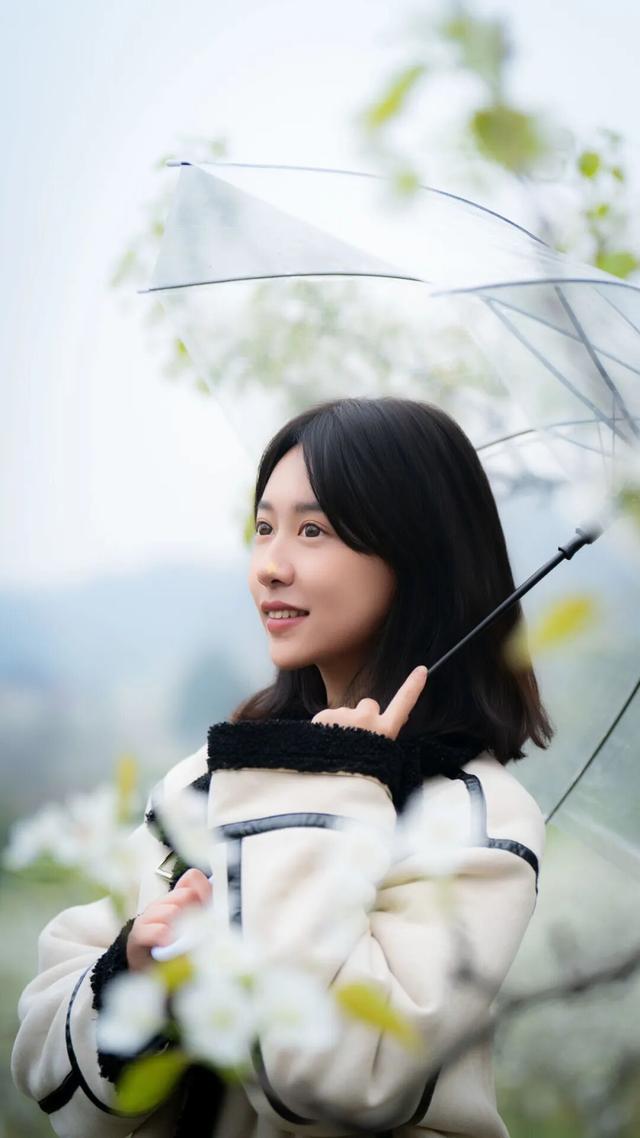 细雨不减春意，梨花溪满目春光入画来