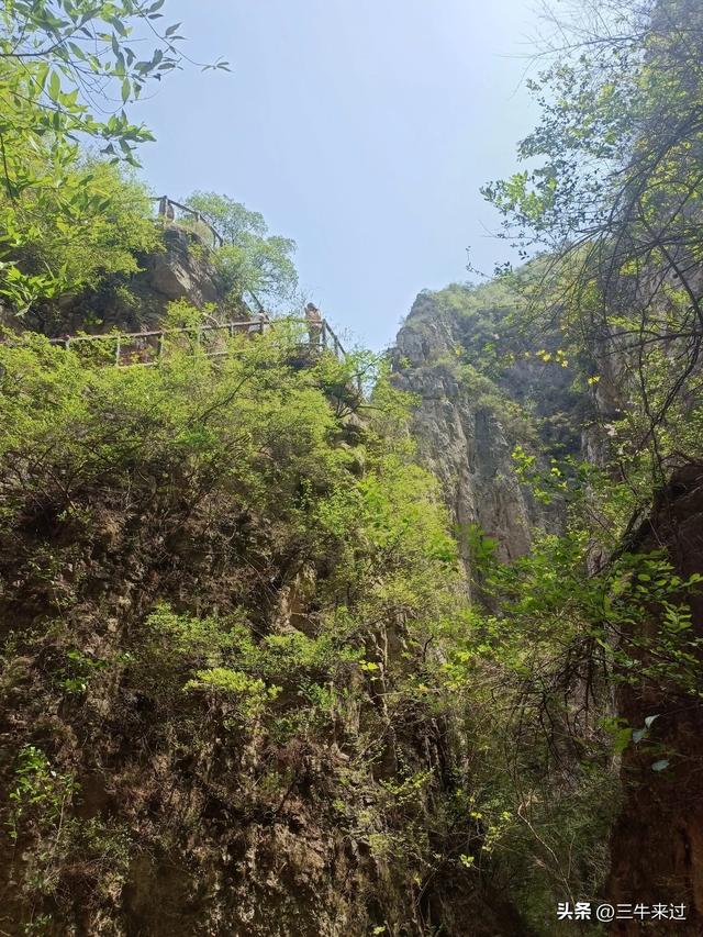 无为在歧路，武安涉县平顺临清（9）