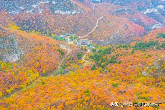 寻迹尖草坪丨初冬限定！这6处绝美风景，再不去真的要等一年！