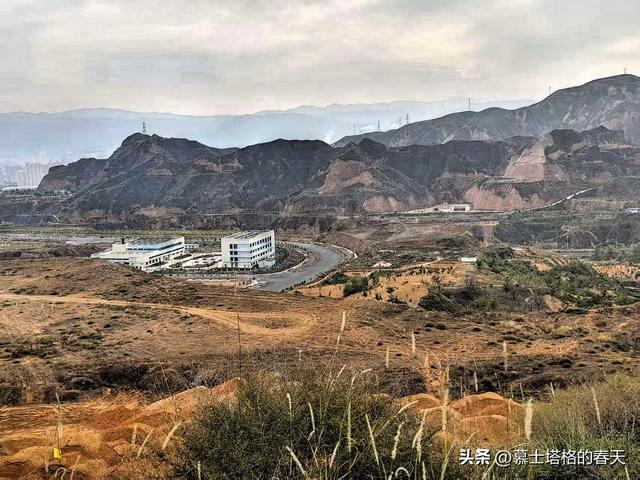 安宁北山游记•一种野蘑菇