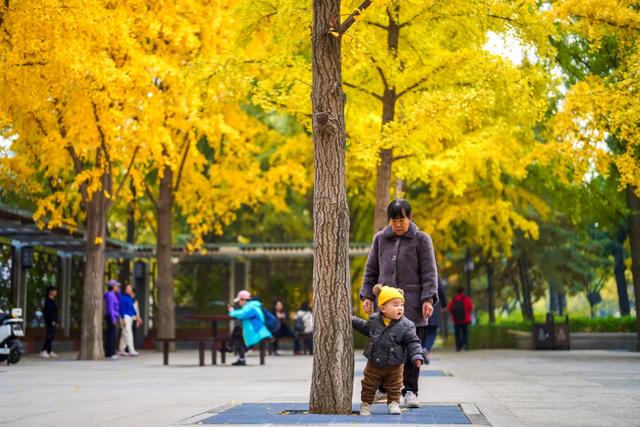 你会怀念这个秋天吗?
