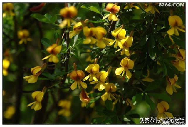 山东行游影记（50）—银雀山汉墓竹简博物馆（一）