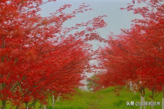 我试了一个“人生构建法”，终于告别迷茫，把喜欢的事变成了正职