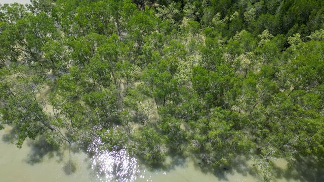 马来西亚新山 · 龟咯渔村｜把生活过成海风味的地方