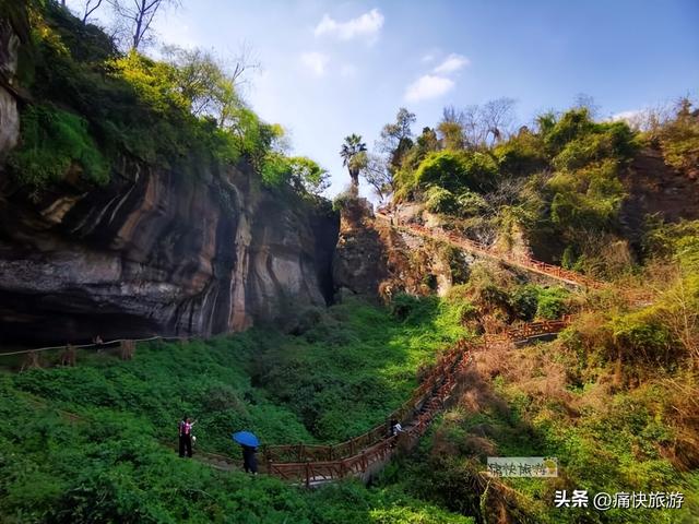 花开三月，探秘自贡最大古梨树群！