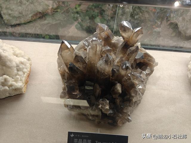 逛中国地质博物馆——一家好博物馆的暑期不佳体验