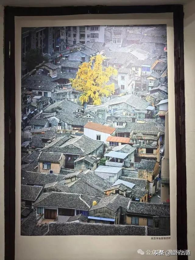 老温州妇孺皆知的温州重要名人！他的故居国庆假期开门迎客啦
