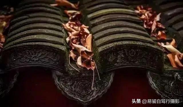 震撼！故宫瓦当，紫禁城守望者；中式美学老屋瓦当 只有中国人才懂