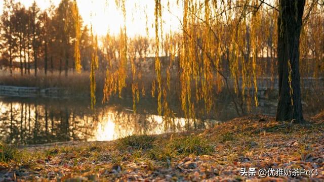 大雪至！少康湖这处秘境，拍照超出片
