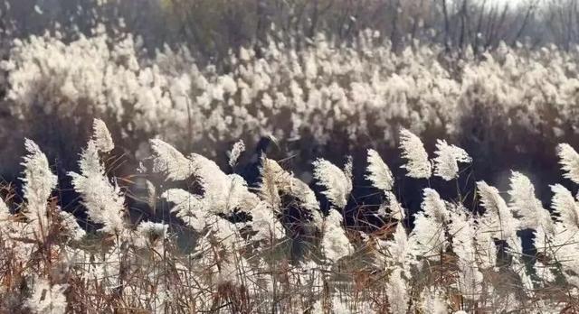 冬日的渭南，我给你准备了“三件套”