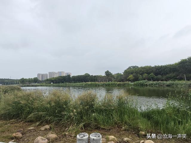 梅湖，散步休闲的去处，露营聊天的基地，人生得意须尽欢！