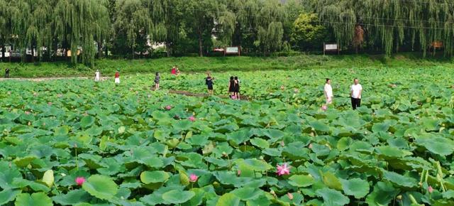 【文明旅游】太原：难老泉润稻荷香