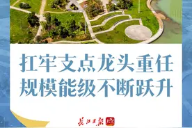 武汉，攀高争先当龙头！图片