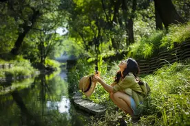 35岁后，就不要再去同学聚会了图片