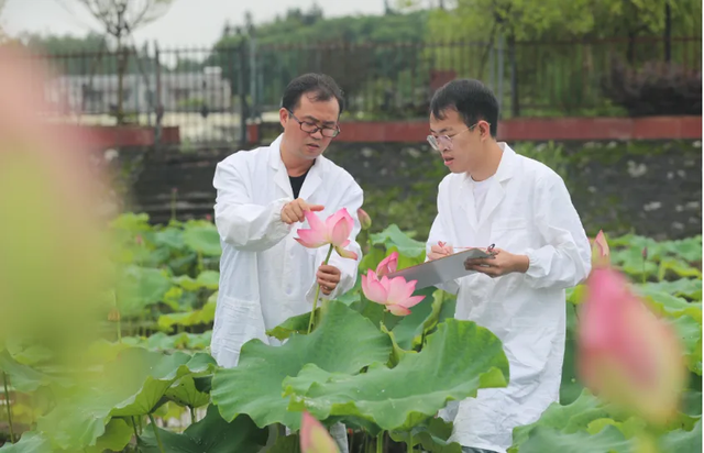 为何每次神舟飞天都要带种子？背后是2000亿市场，太空育种很厉害