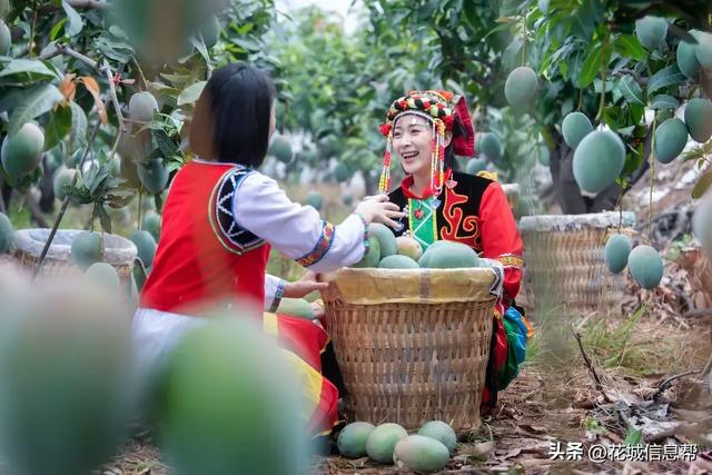 川D——攀枝花!一个被阳光吻过的城市!