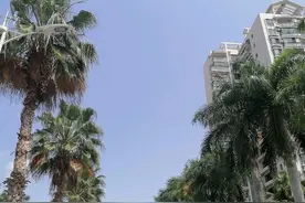 看看最近海南乐东九所新区现在的房价怎么样了图片