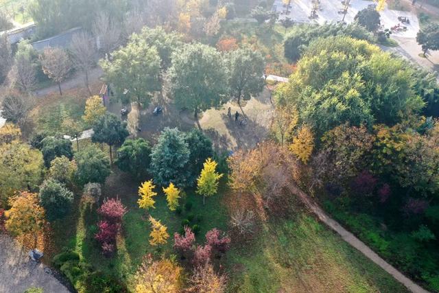 无需滤镜的温县，是这样的→