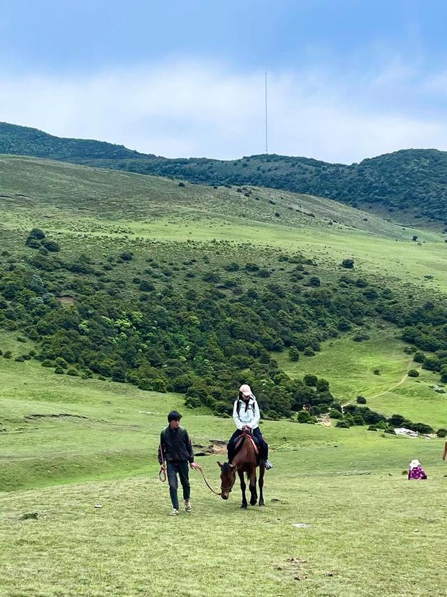 想去洱源鸟吊山徒步官方最新回应来了鸟吊山自然保护区核心区禁入