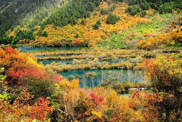 9月-11月，国内20个最美赏秋胜地，今年打算去哪一个