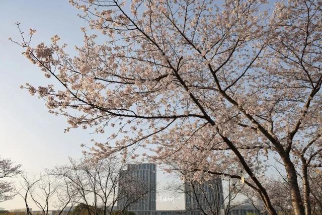 无锡这座大公园，即将爆火！