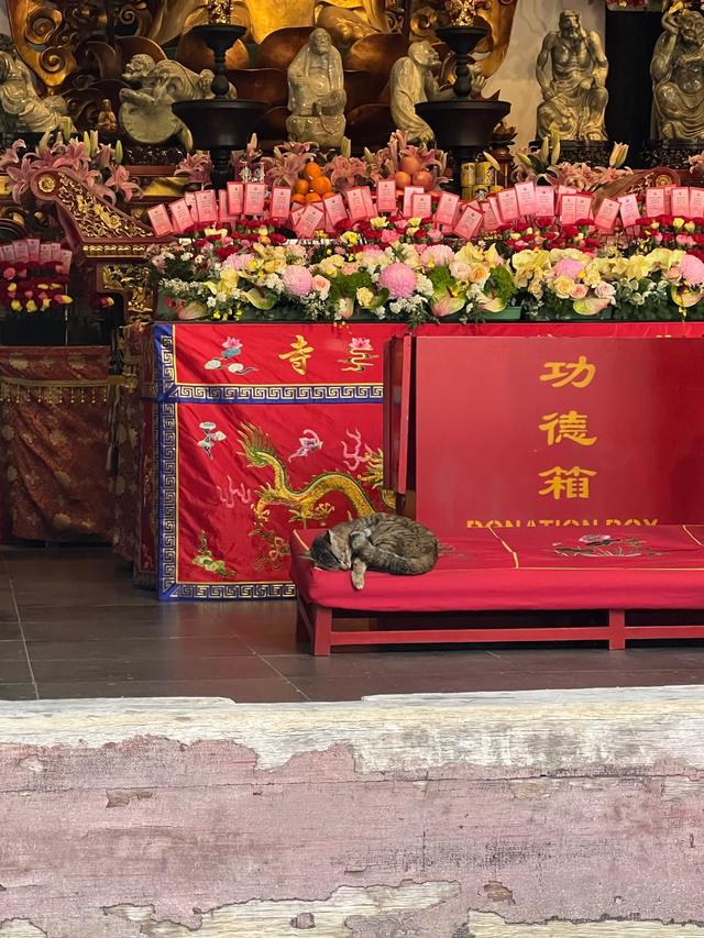 进寺先掏75？少林寺的瓜还没吃完，灵隐寺消费明细又被扒出来了！