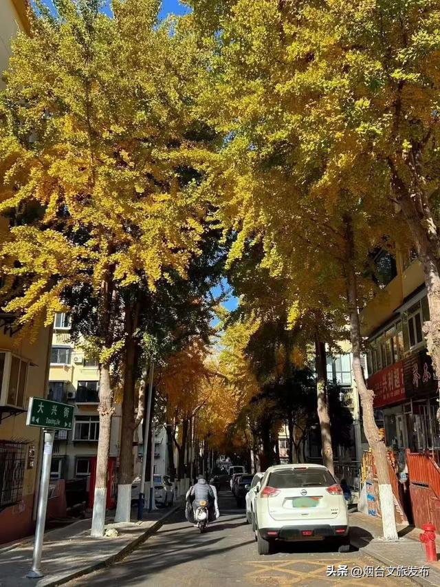 【乐游烟台】现在就冲！烟台这几处街景美到开挂
