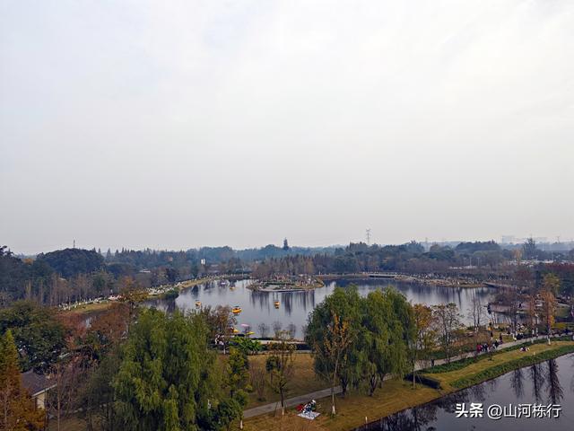 成都人的周末“偷闲”：上午三道堰喝茶，下午蝴蝶村遛娃